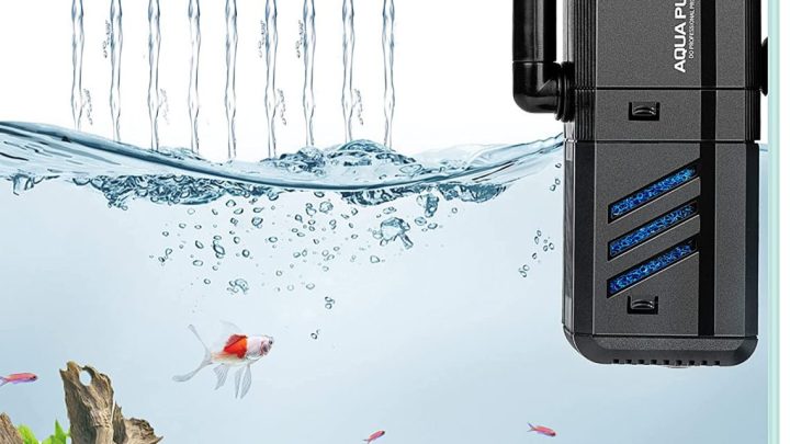 How does the filter in an aquarium work?