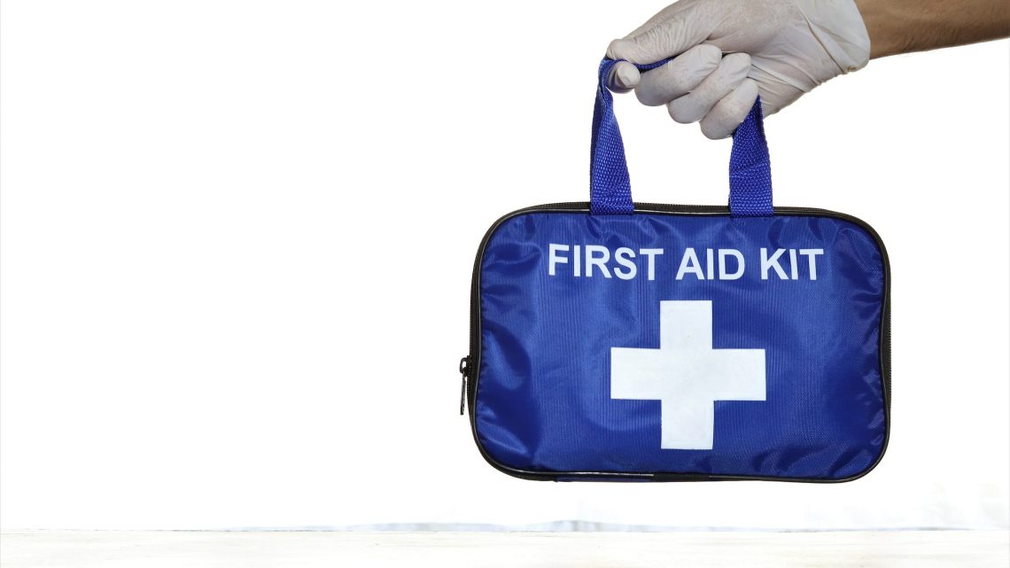 Pet First Aid: How to Respond to Common Emergencies